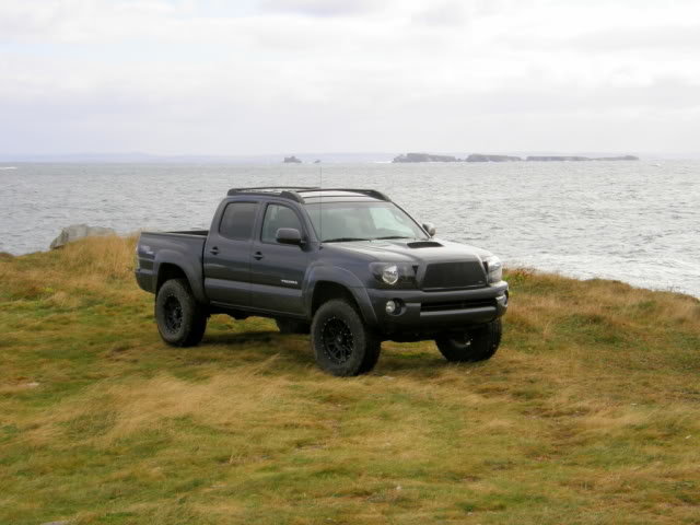 greytacoma_8a441ae83d7f1bd4dfb8e3b982efacf6fb5fb011.jpg