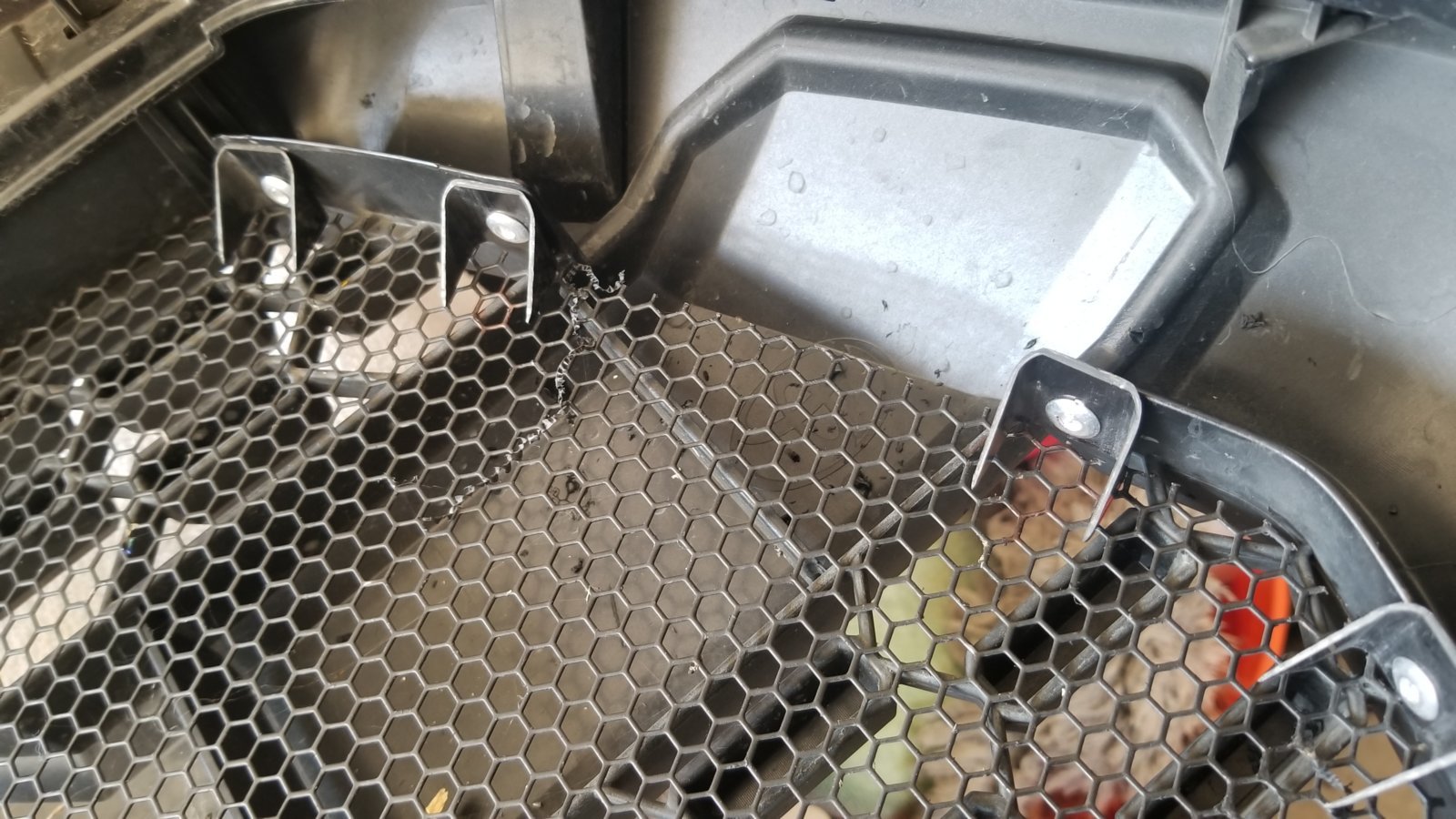 grill 8.jpg