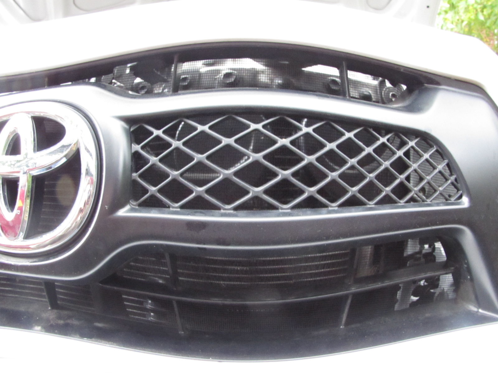 grill1.jpg