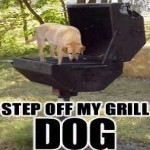 grill_577a2605d57a6379e2d2de20d075291c6b568b11.jpg
