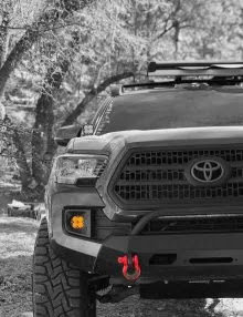Grille.jpg