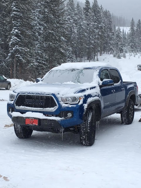 Grille.jpg