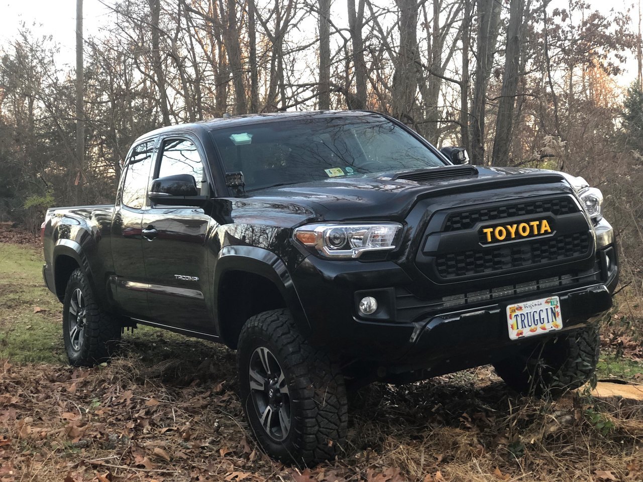 grille_shot.jpg