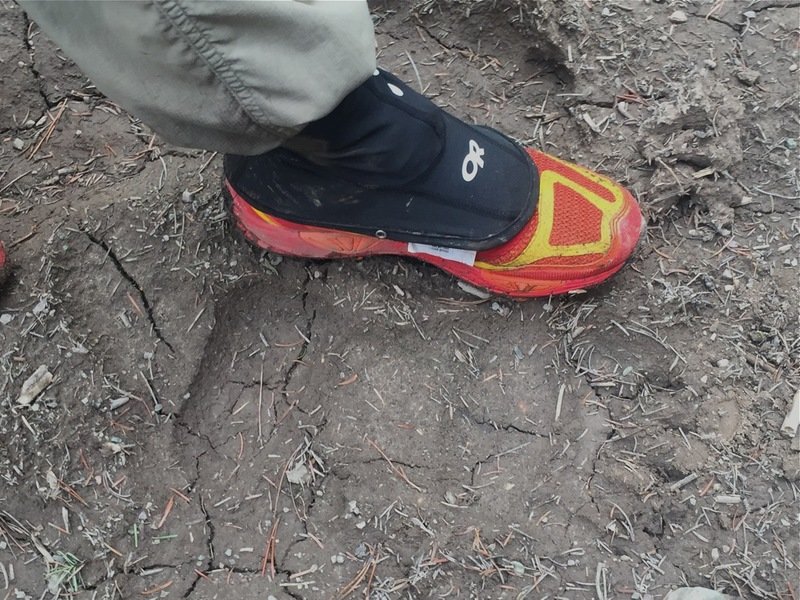 grizztrack_zpsjou6qhus_0cc524d84f175a98148d335c455e85bedce01e81.jpg