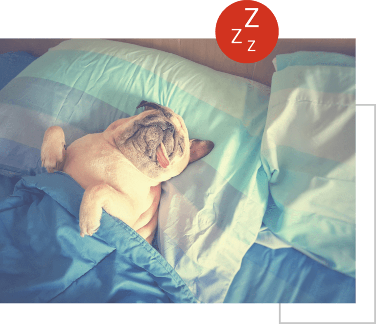 Grooming-2-768x662.png