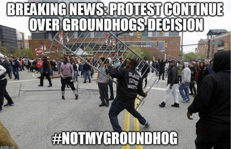 groundhog day5.jpg