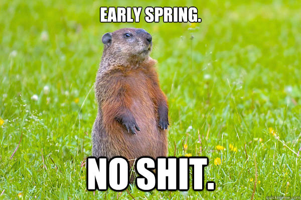 groundhog day6.jpg