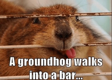 groundhog day7.png