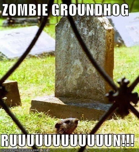 groundhog day8.jpg