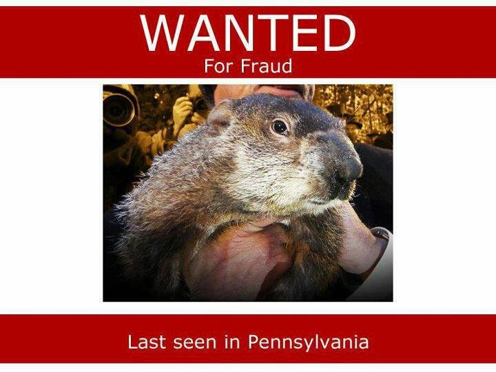 groundhog.jpg
