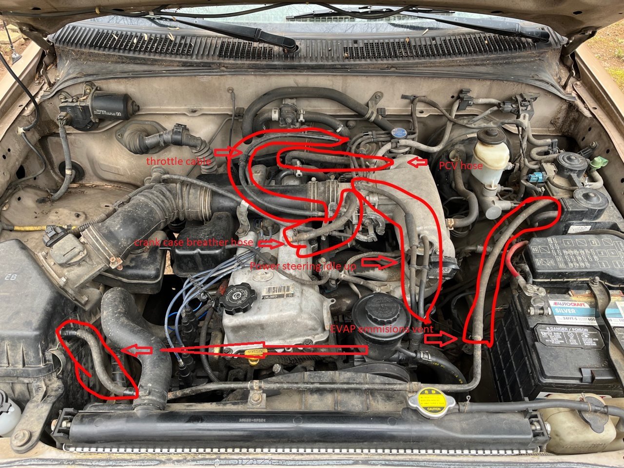 Identifying Different Hoses (and related questions) | Tacoma World