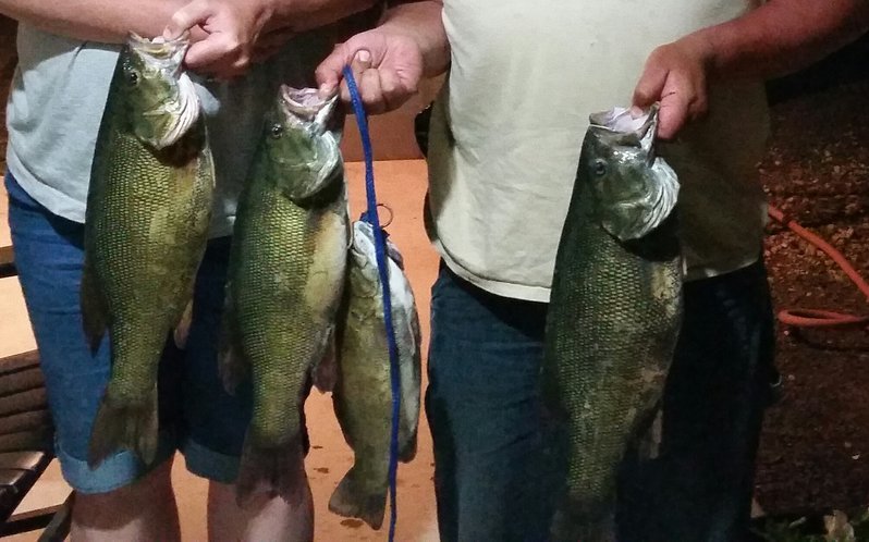 group of smallies.jpg
