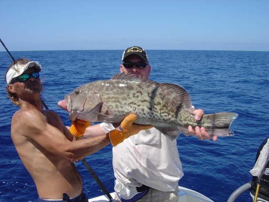 grouper_18821e3cd7275c75a42044d1ff2570aa9bf8bee5.jpg