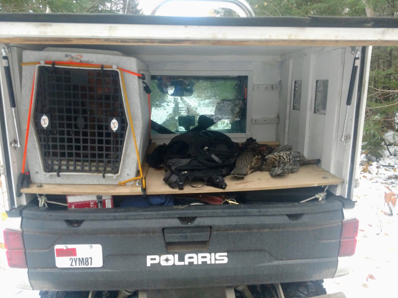 grouse sos dog buggy.jpg