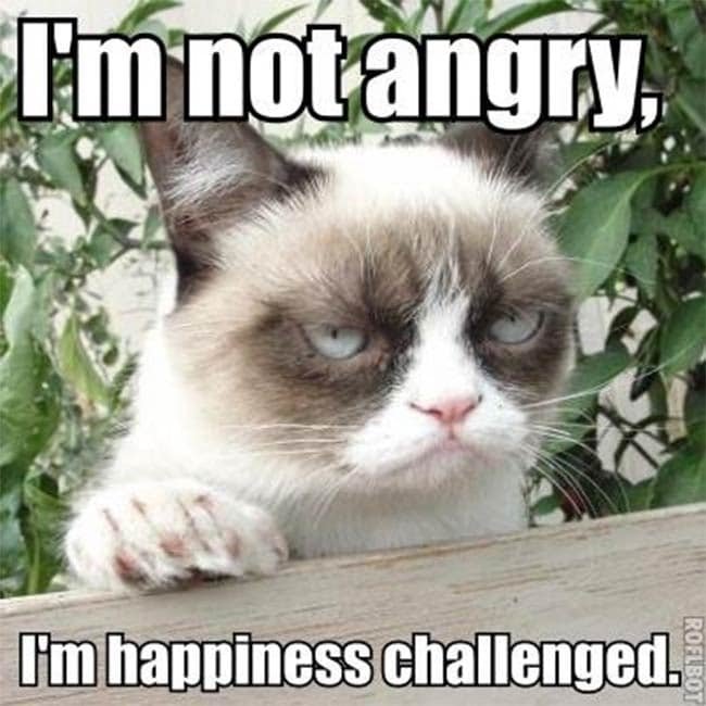 grumpy-cat (7).jpg