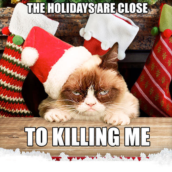 Grumpy-Cat-Day-9.jpg