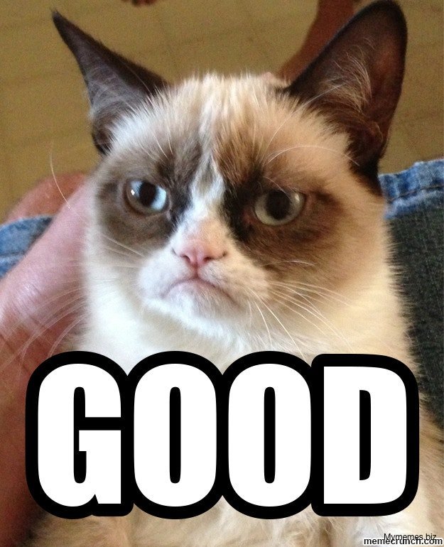 grumpy-cat-good-meme.jpg