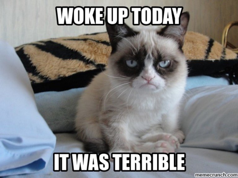 Grumpy-Cat.jpg