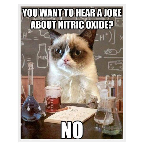 grumpy-cat-meme-04.jpg