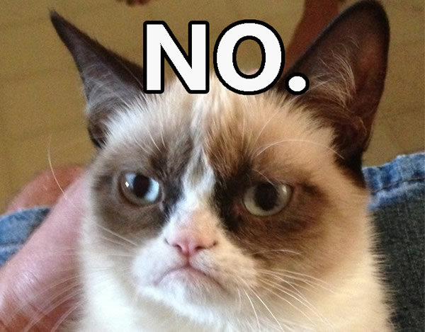 grumpy-cat-no-memes_5.jpg