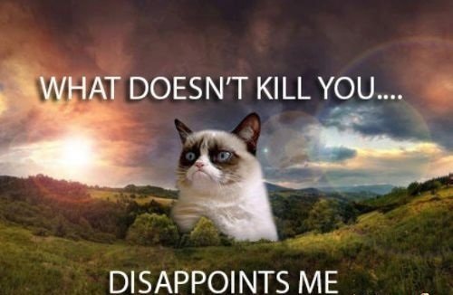 Grumpy-cat-What-doesnt-kill-you_large.jpg