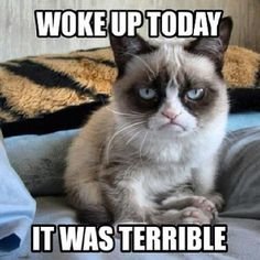 grumpy.jpg