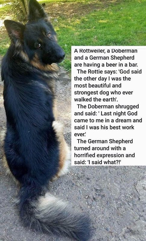 GSD God.jpg