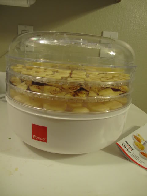 gt12021_9037b58e34c124bf73dbda4029c7033cd9d22286.jpg