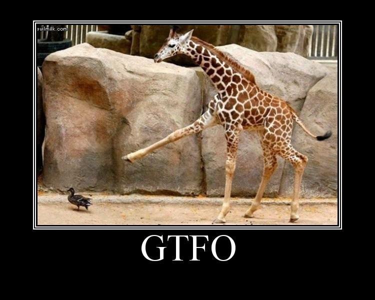 Gtfo_b3af8d_230836.jpg