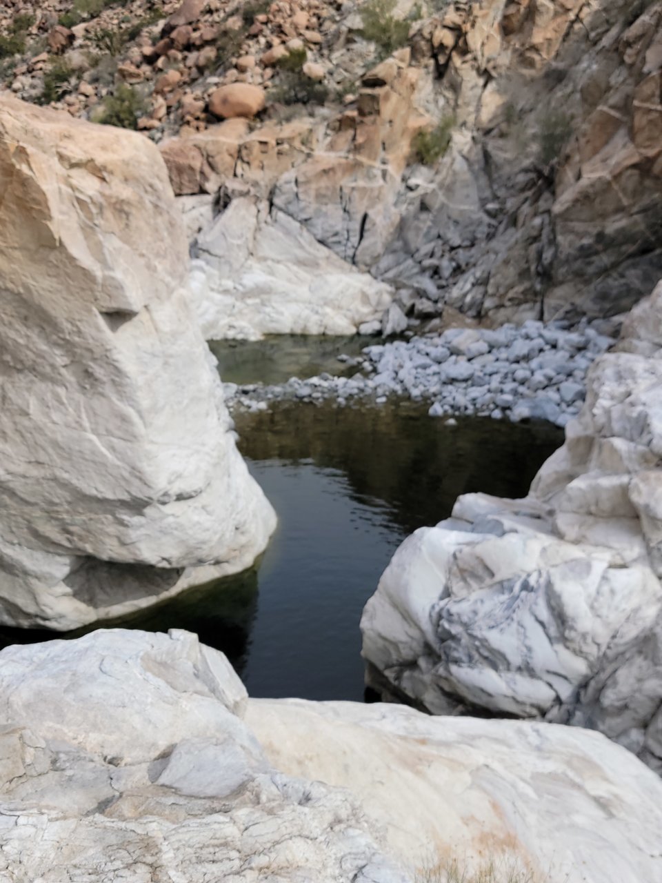 Guadalupe Canyon.jpg