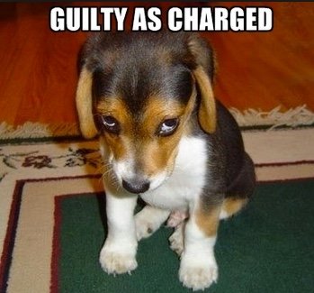 GUILTY-AS-CHARGED.jpg
