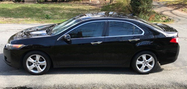 Guinny tint.jpg