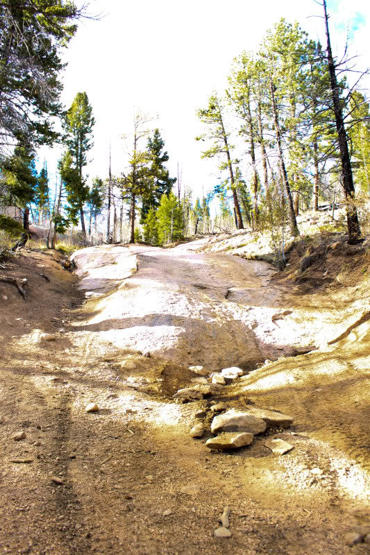 gulches5-21-11-161_79418ca6aed19a4915e376fdcf2a7ff26624efa7.jpg