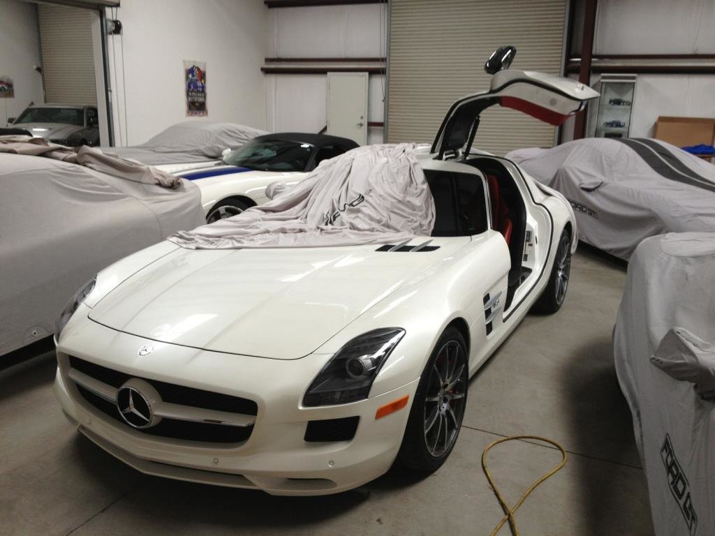 gullwing_4feeb8e8173137abea6fdf5b1cfc069bf42a3dad.jpg