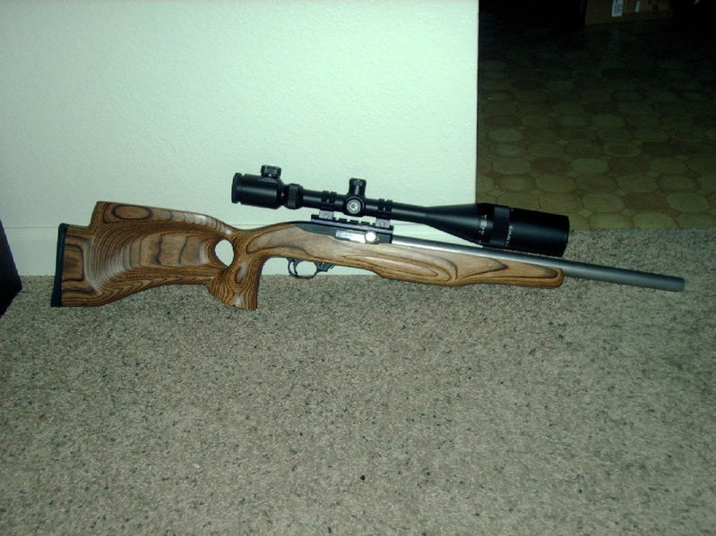 gun 003.jpg