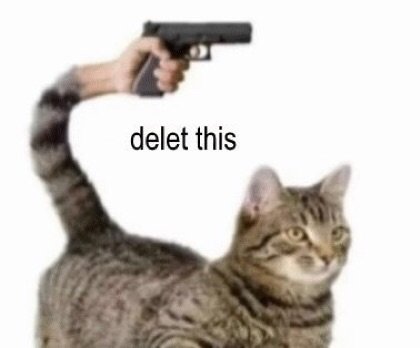 gun-reaction-pics-memes-Favim.com-6968843.jpg