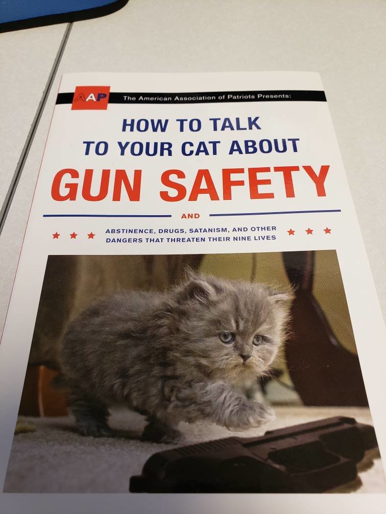 gun safety.jpg
