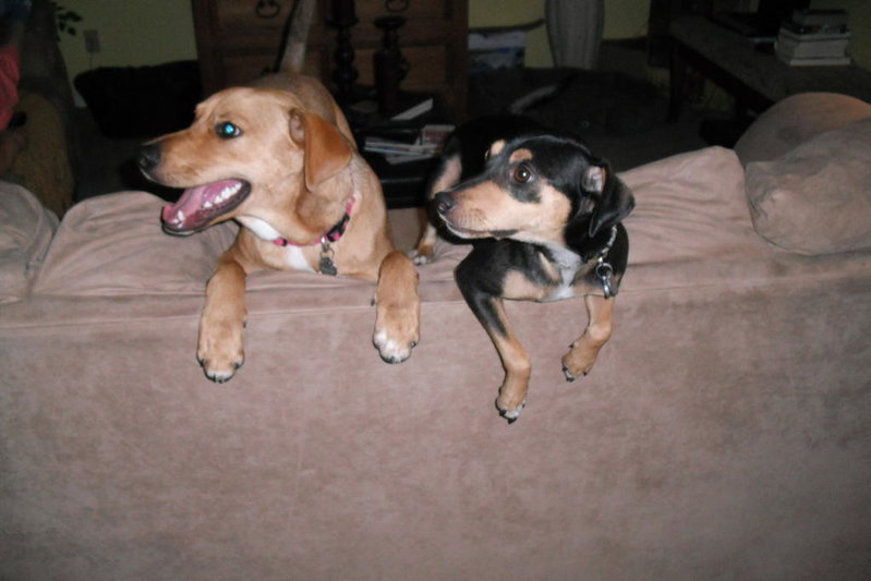 Gunner & Gabby 002.jpg