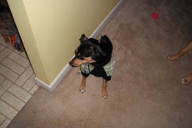 gunner in his suit.jpg