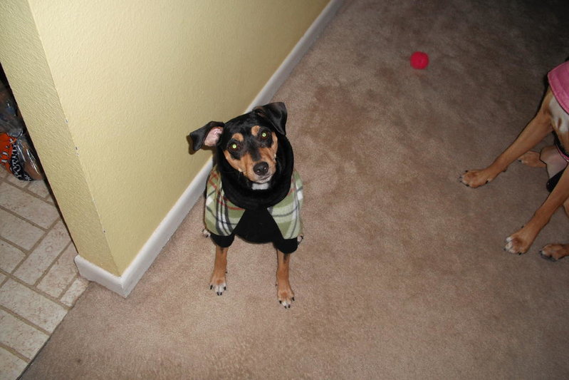 gunner in his suit1.jpg