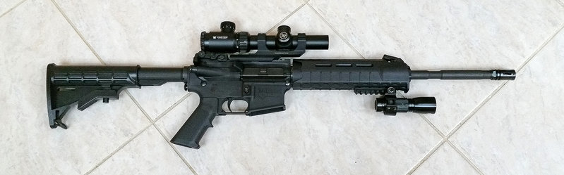 Guns-0011a.jpg