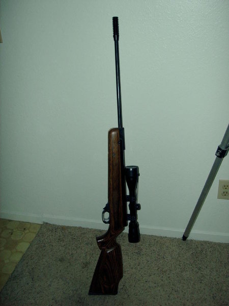 gunssssssss 009.jpg
