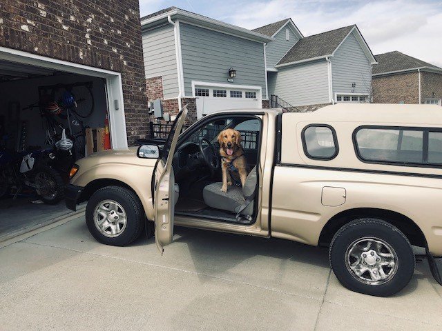 Gus in truck.jpg