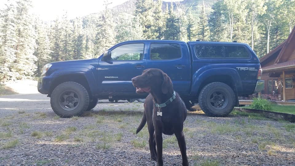 gus+taco.jpg