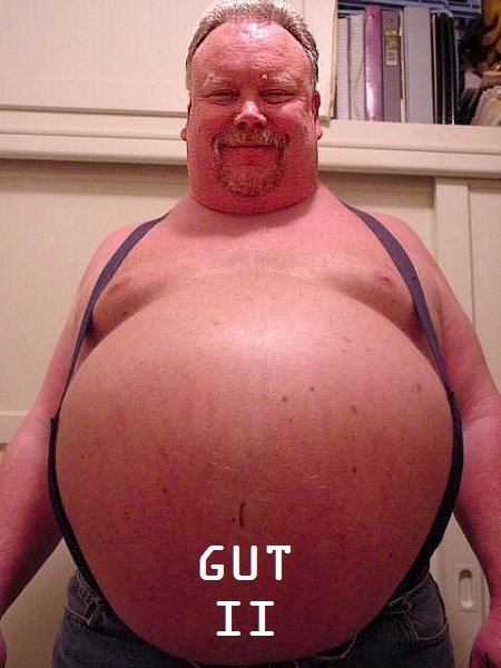 gut_ii.jpg