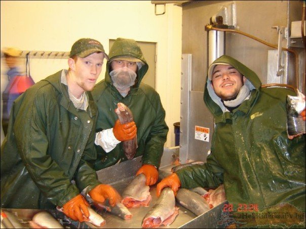 guttingfish_zps1c1730a2_beede260278f56e756fb4a6dda81ebdd4df33a23.jpg