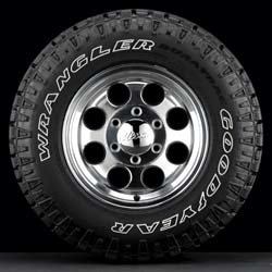 gy_wranglerdt_owl_ci3_l.jpg