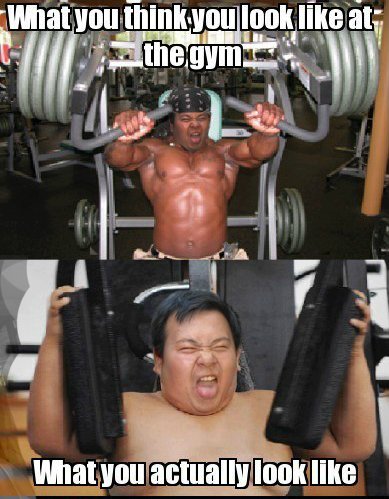 gym_c770680688eaf5d2565ac64587a65af030e87a15.jpg