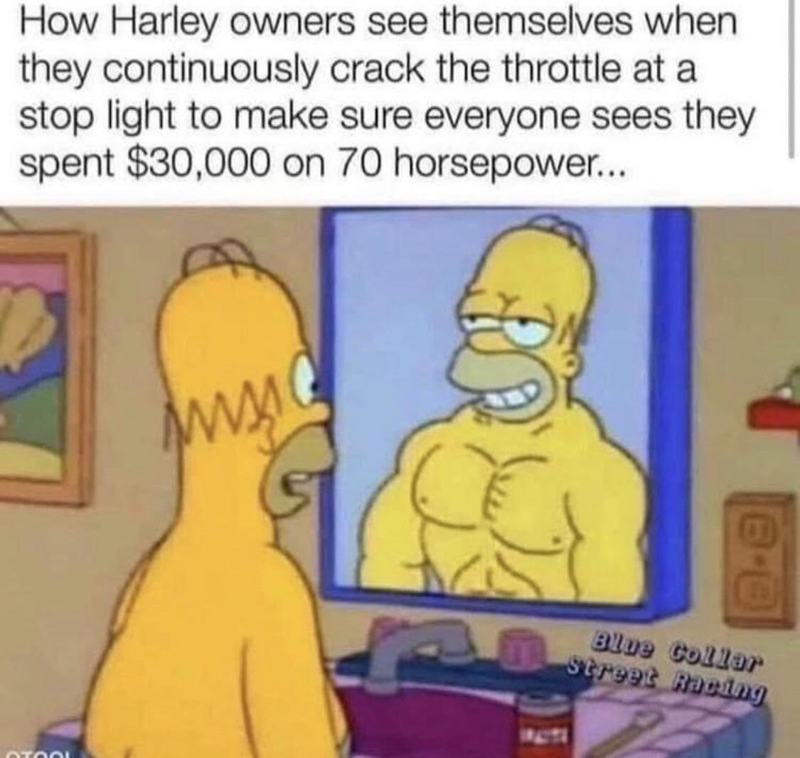 h1pujevjag771.jpg