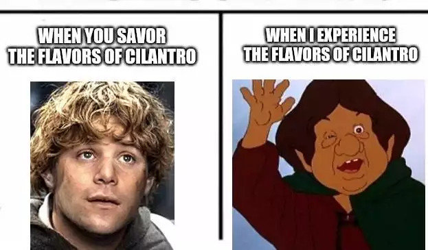 h3IyhmS_d.jpg